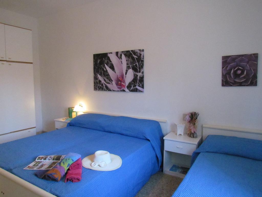 Codan & Fransi Apartment